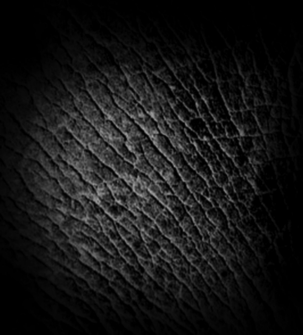 Кожа Zbrush Alpha