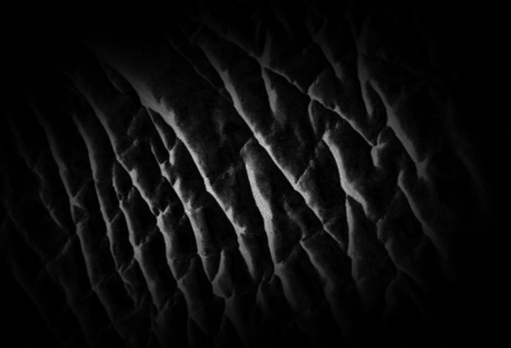 Альфа кожи для Zbrush