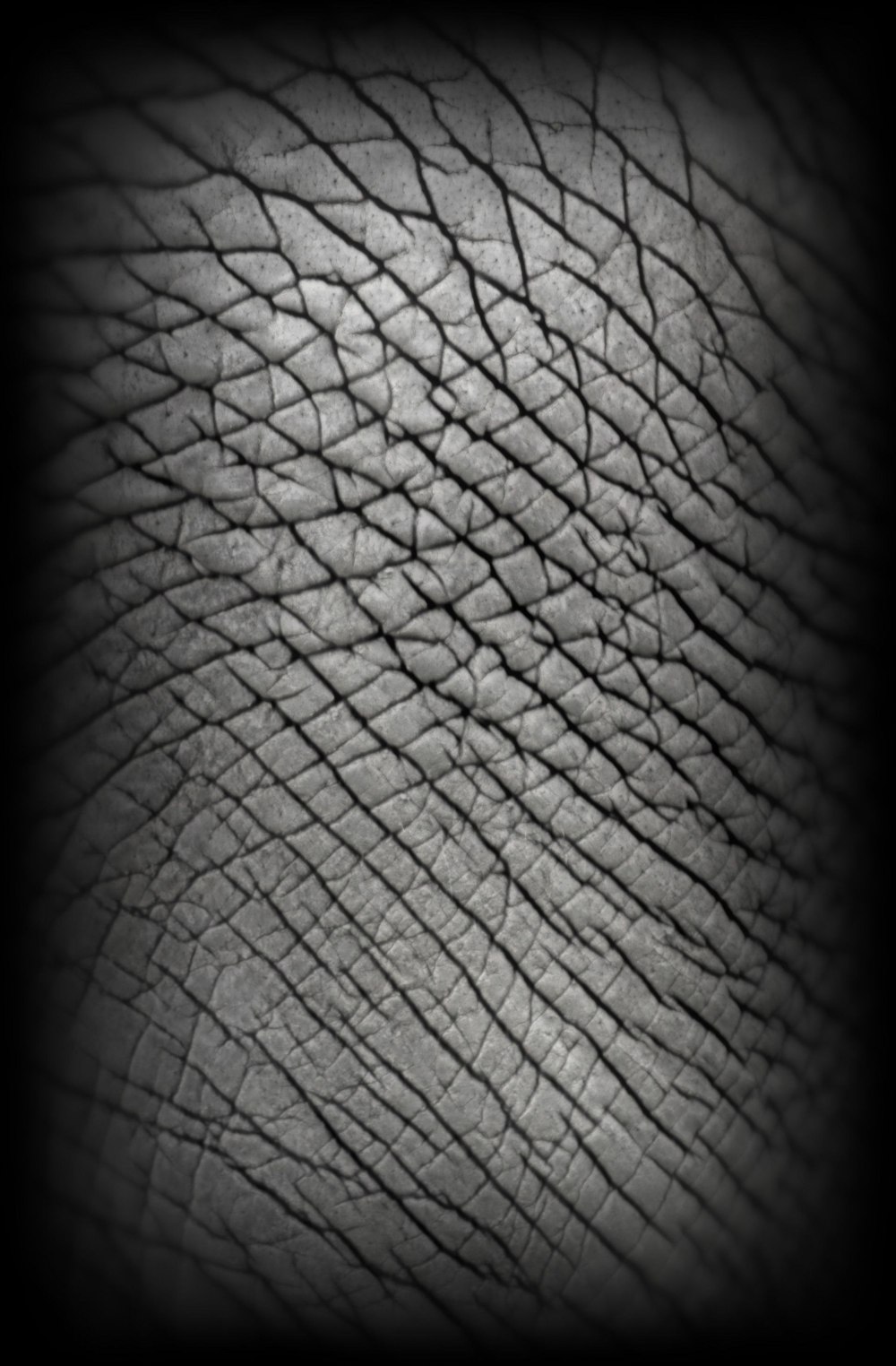 Leather Alpha Zbrush
