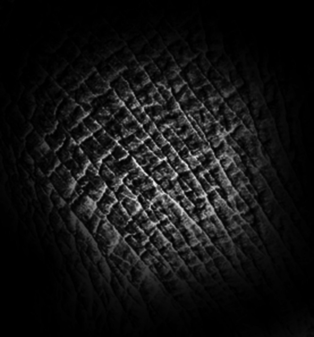 Альфа кожи для Zbrush