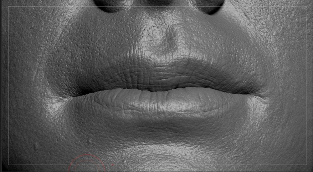 Skin Brushes Photoshop