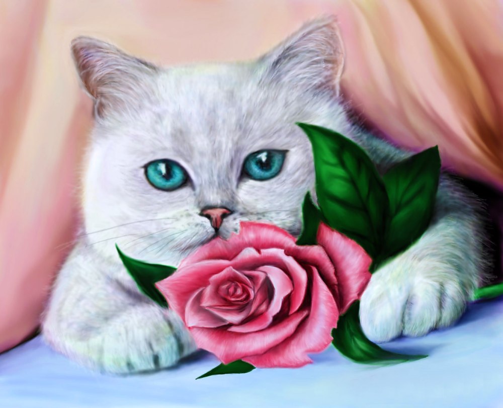 Розы и котенок
