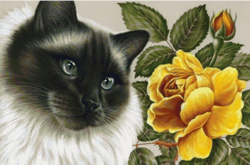 Кот дарит цветы