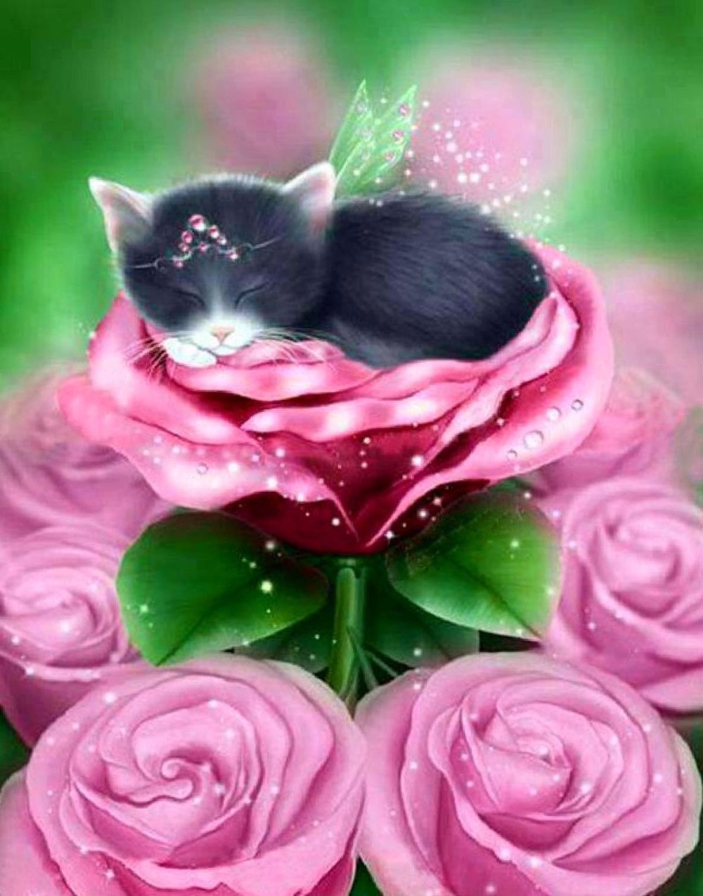 Розы и котенок
