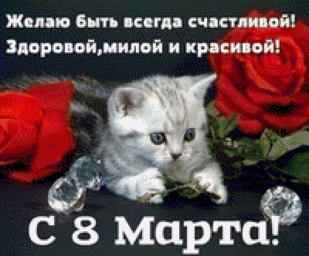 Кошка с красным бантиком
