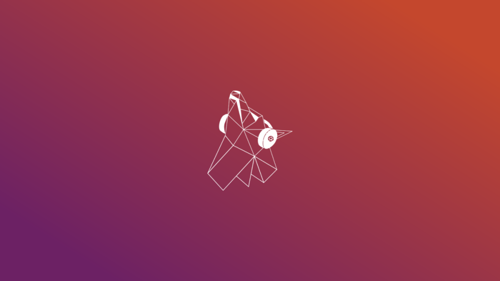 Ubuntu 19.04 Disco Dingo