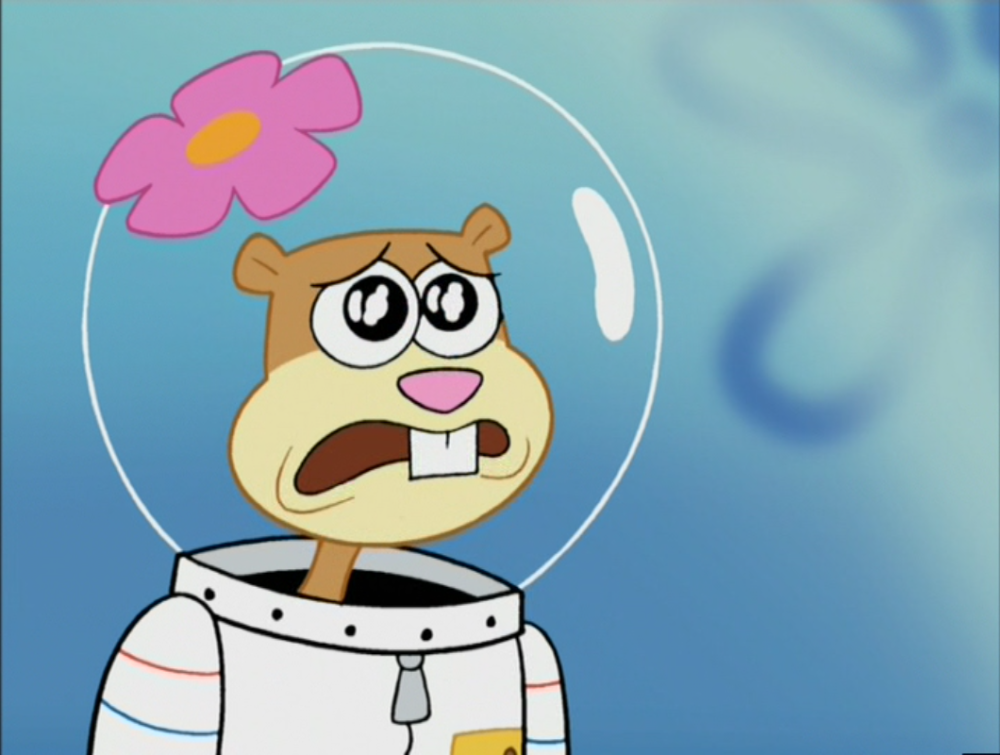 Сэнди Sandy Cheeks