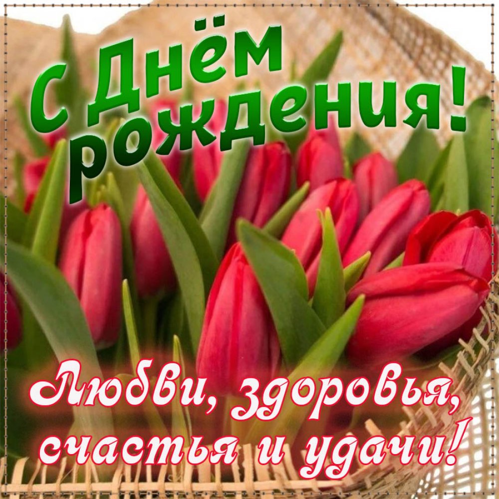 С днём рождения тюльпанв
