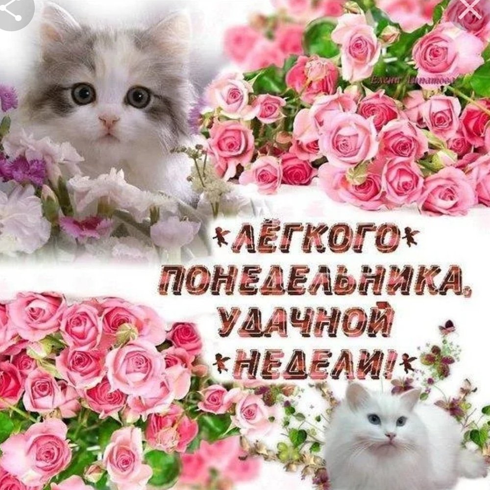 Открытки с добрым утром понедельника красивые