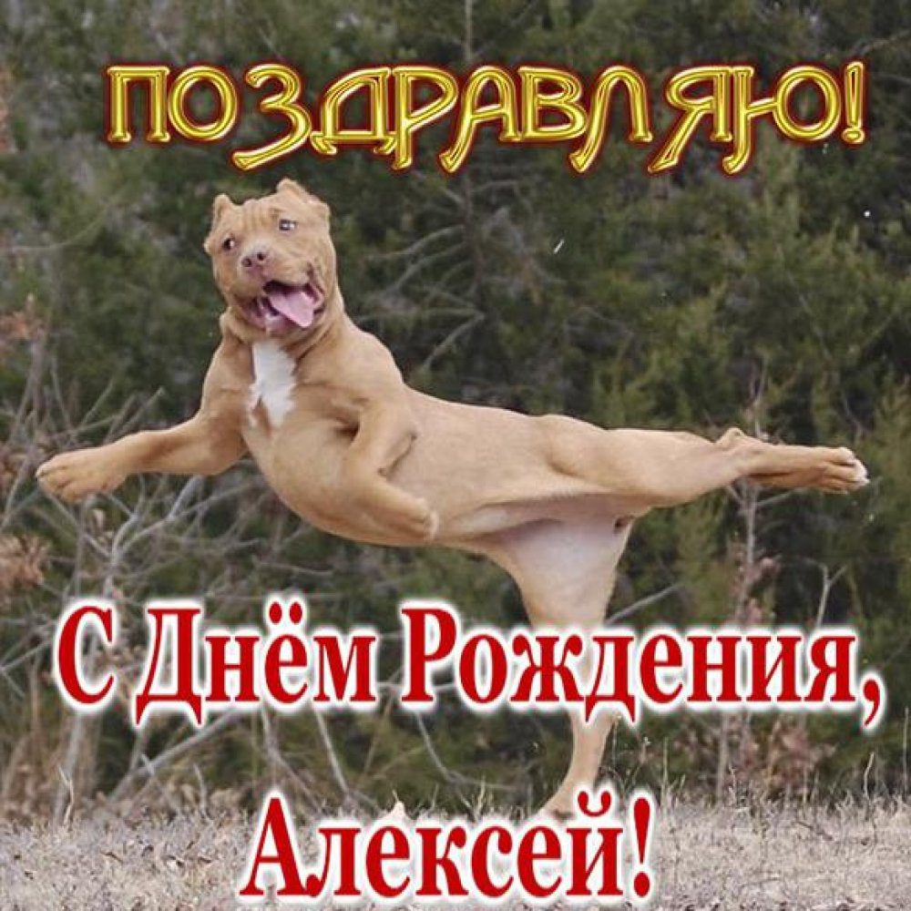 Поздравить Лешу с днем рождения