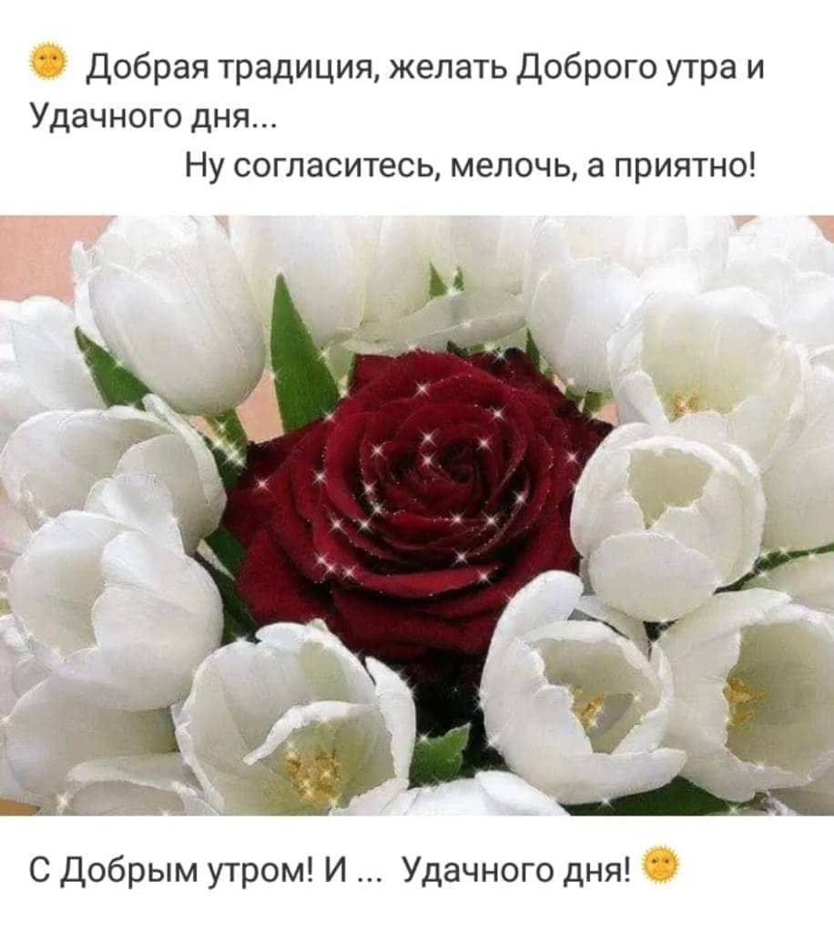 Очаровательные цветы