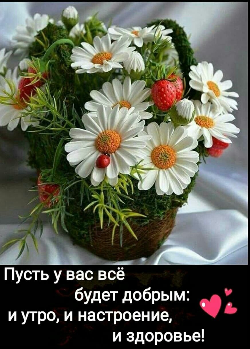 Роскошный букет красных роз и доброе утро
