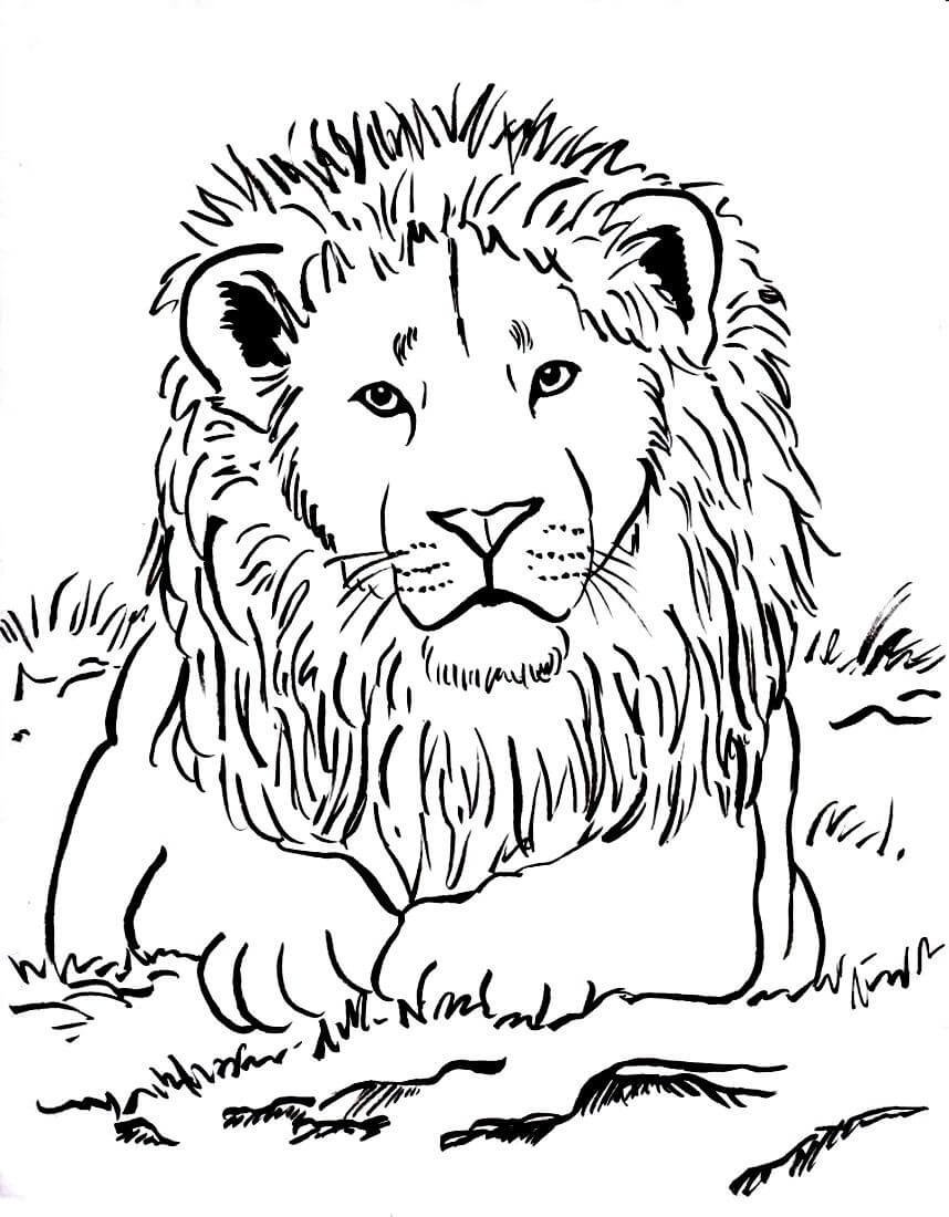 Корабли. Раскраска