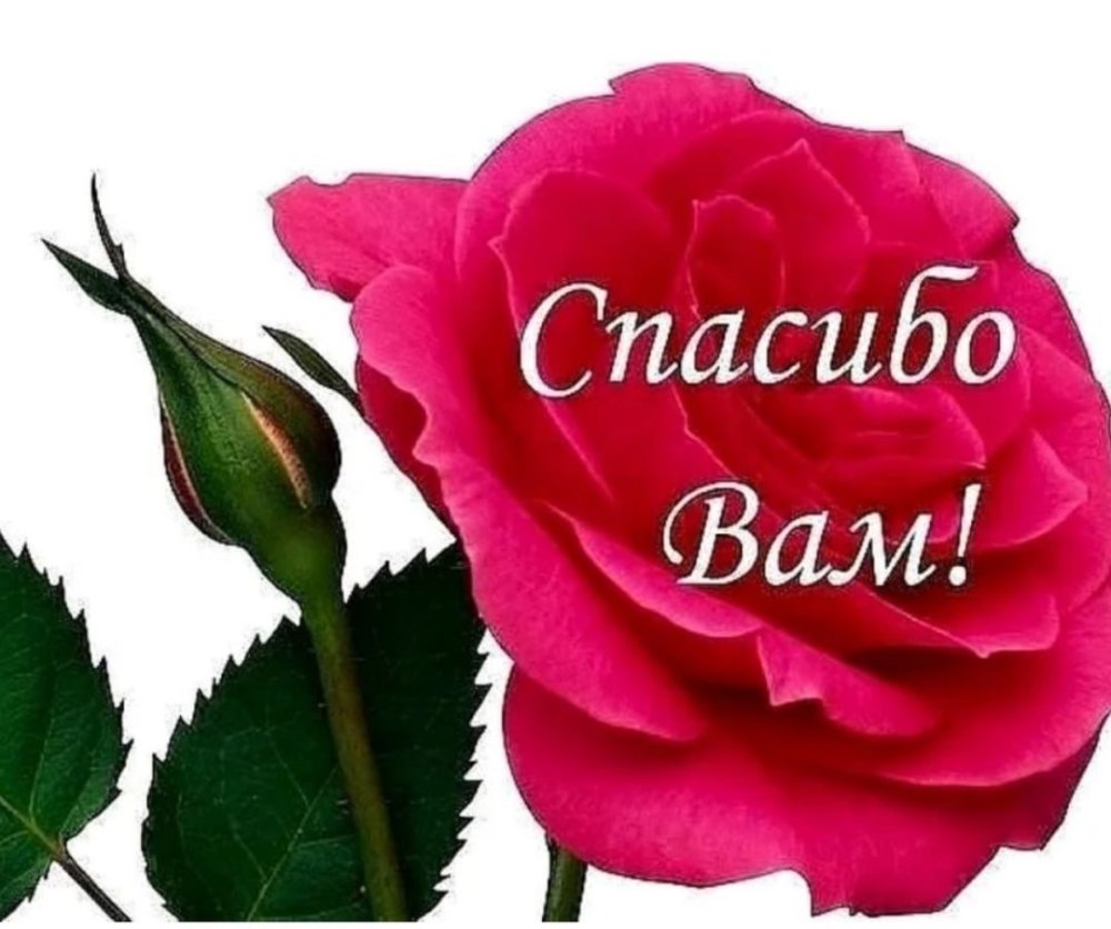 Благодарность картинки