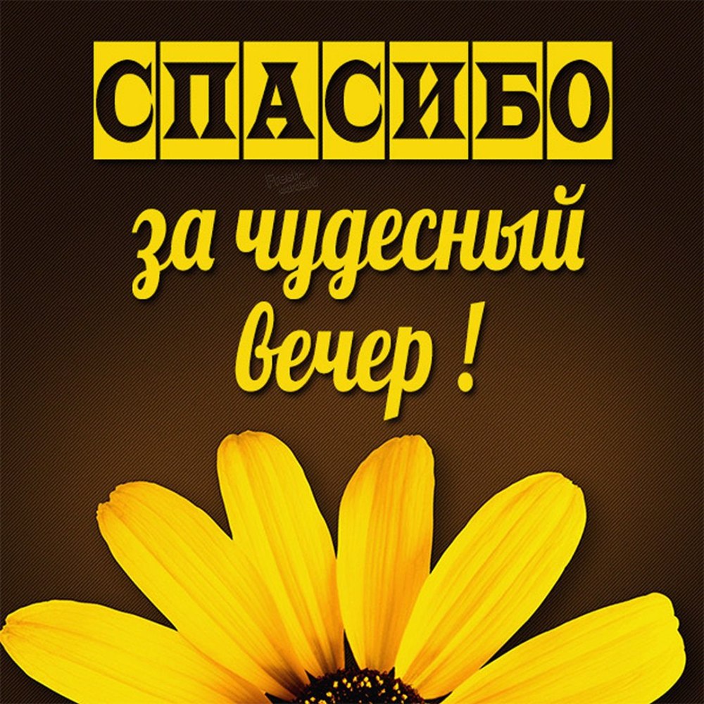 Всемирный день спасибо 11 января