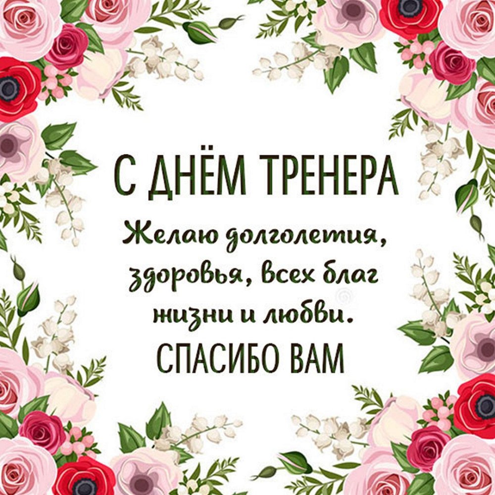 Девочка на лыжах