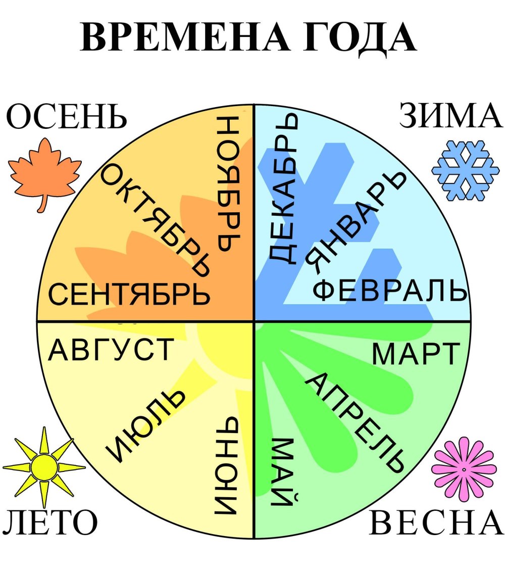 Год и месяцы
