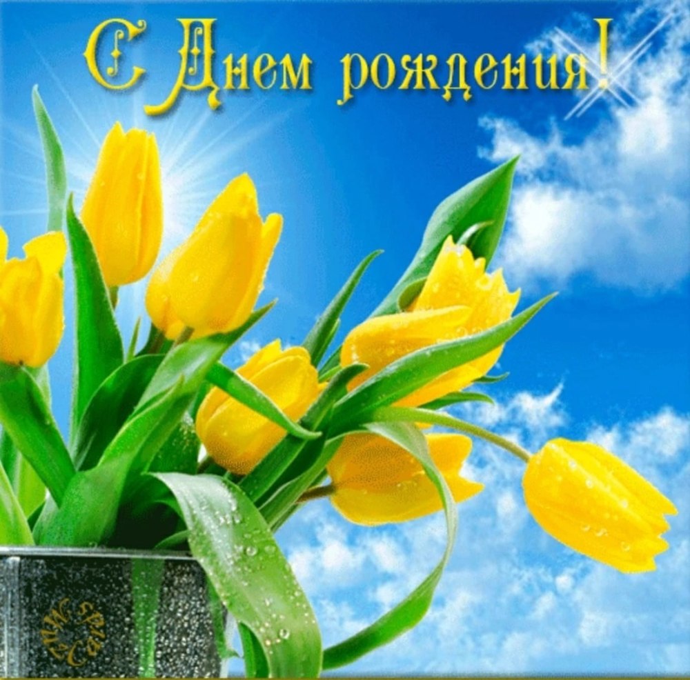 С днём рождения тюльпаны