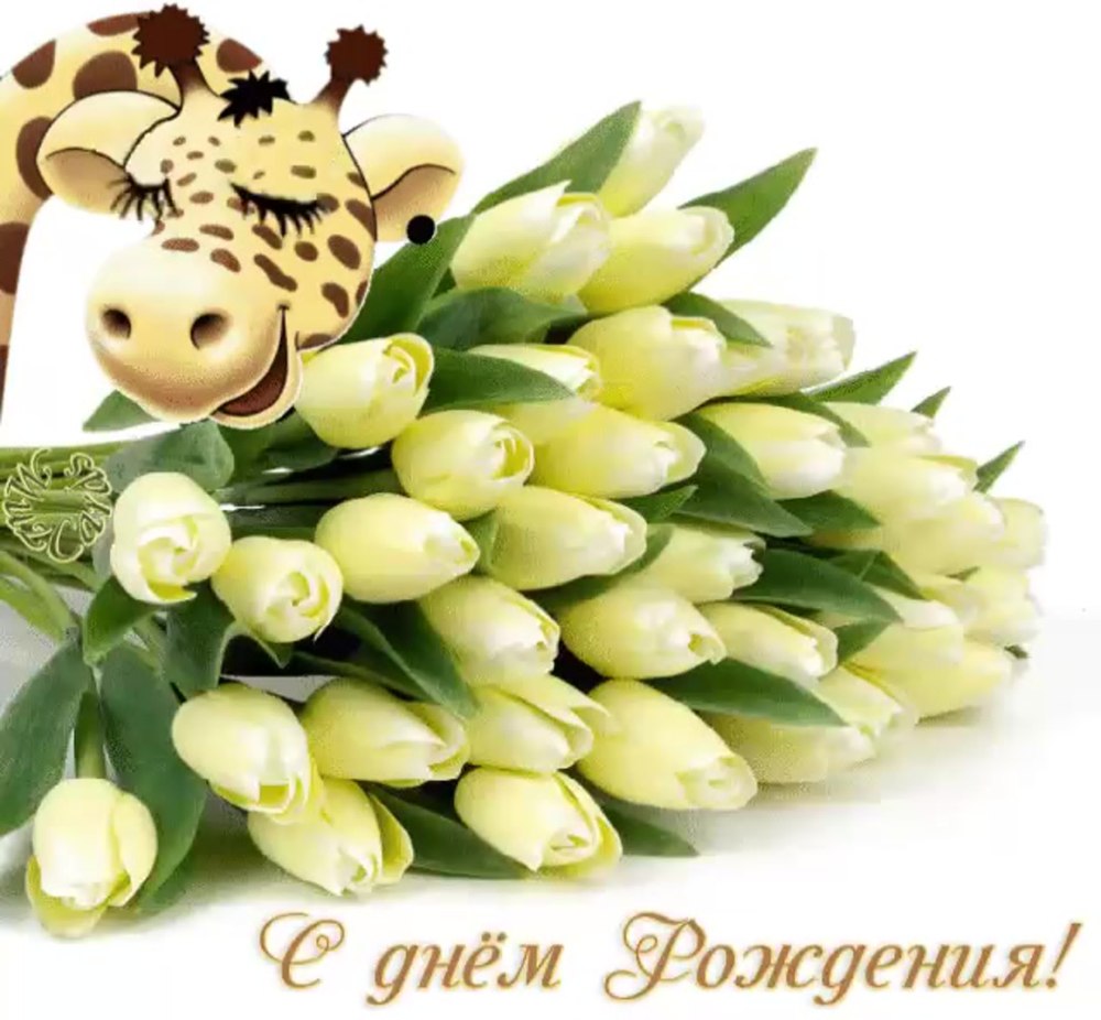 С днём рождения тюльпаны