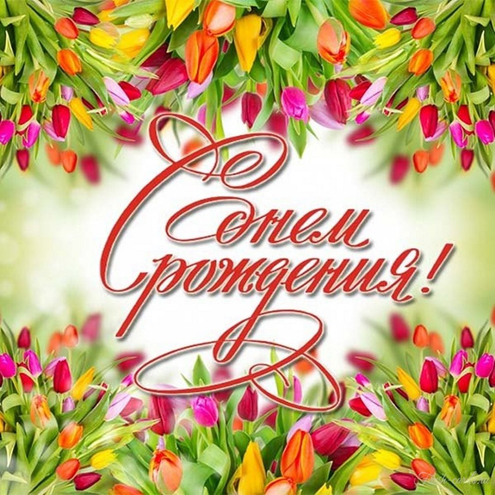 С днем рождения