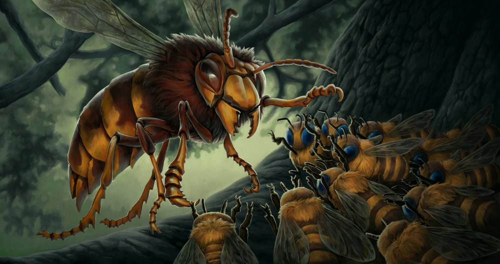 Майнкрафт Queen Bee