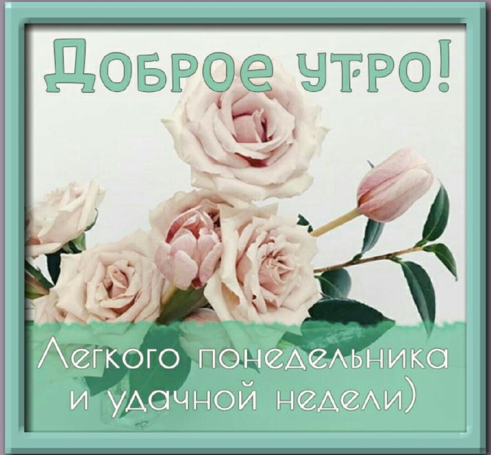 Хорошей недели прикольные