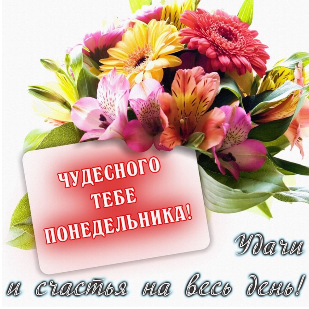 Красивое поздравление с понедельником