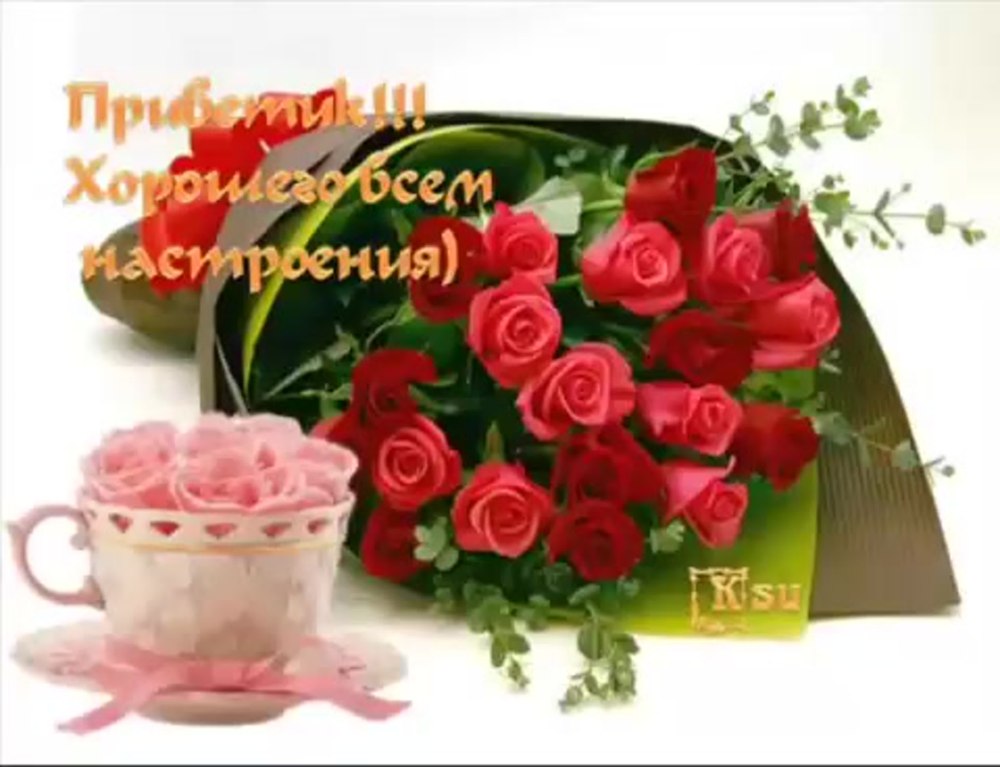 Красивые утренние цветы