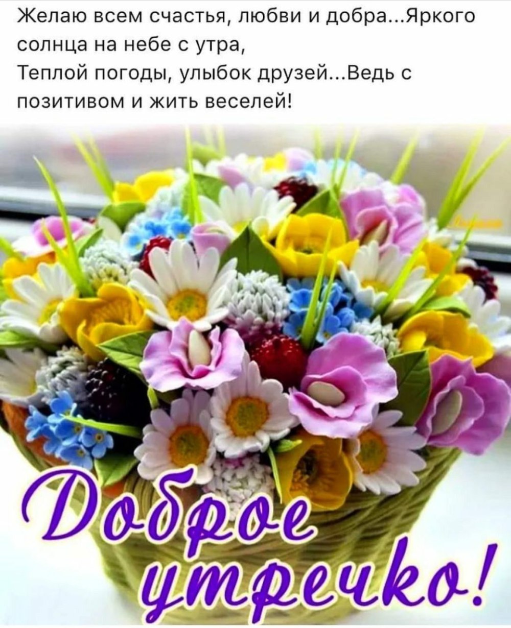 Доброе утро четверга