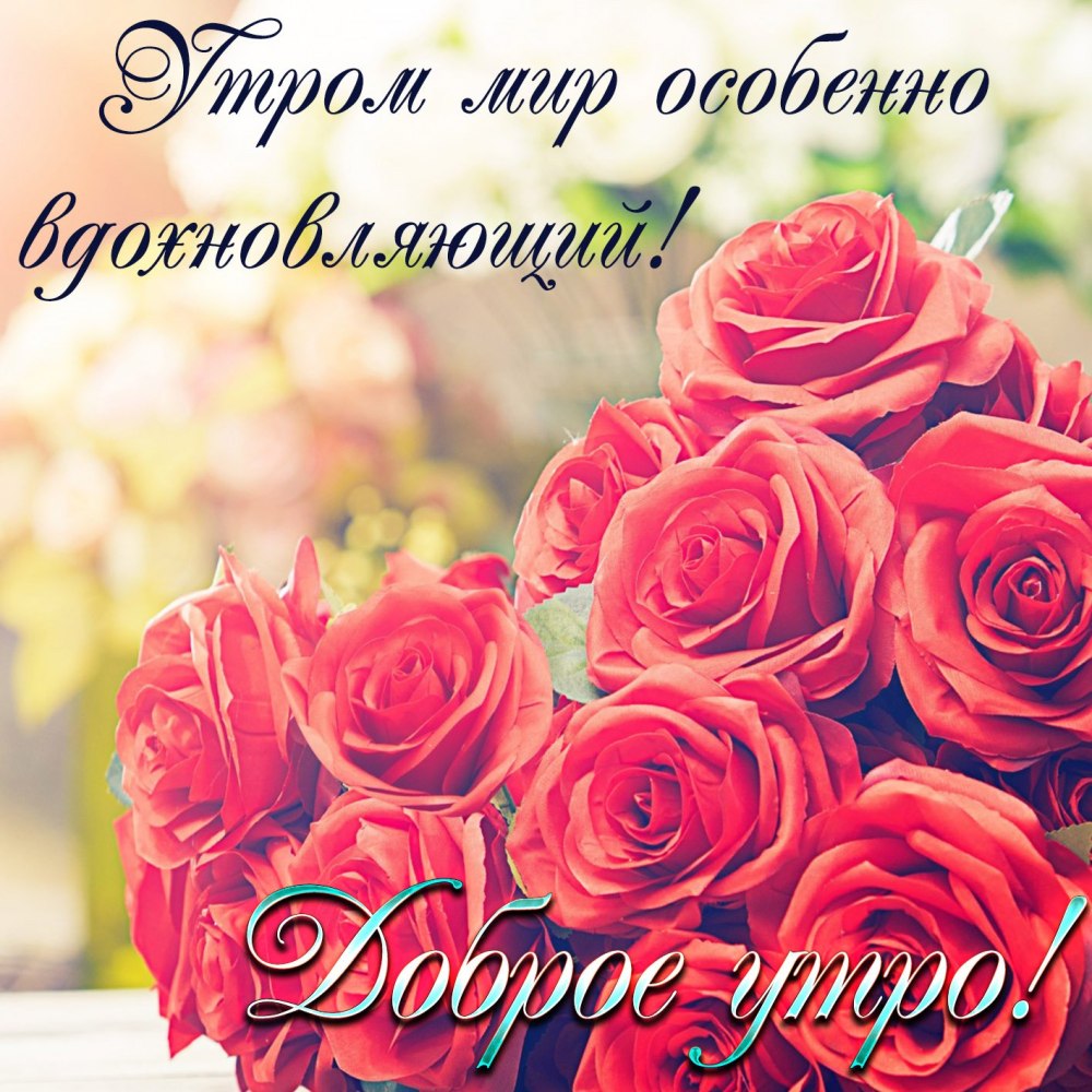 Доброе утро дайте мне букет цветы