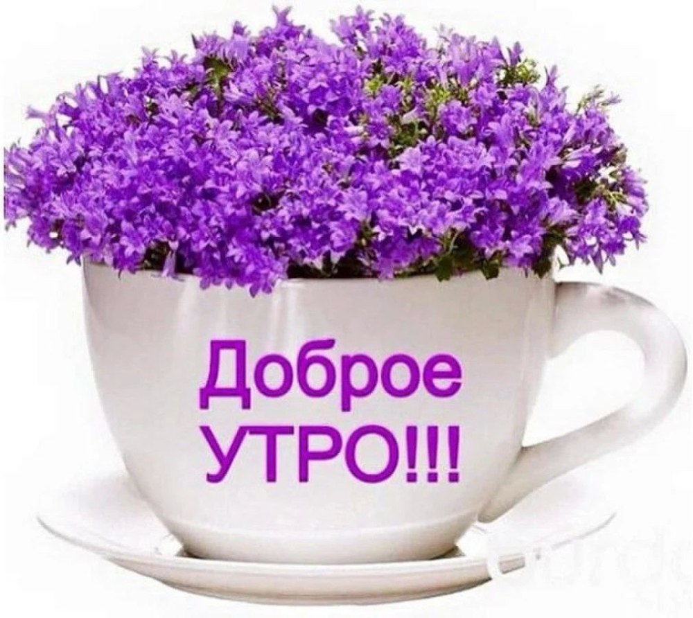 Добрые пожелания с ромашками