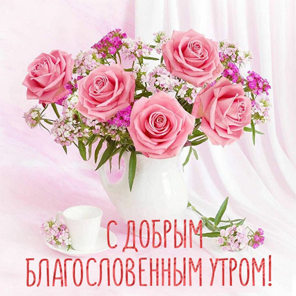 Красивые утренние цветы