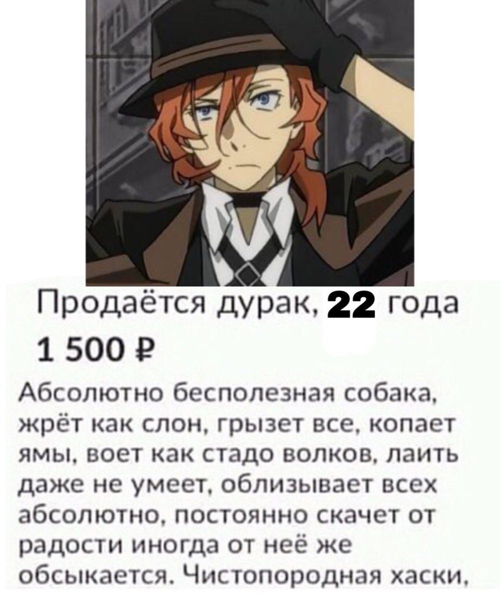 Аниме бродячие псы Дазай