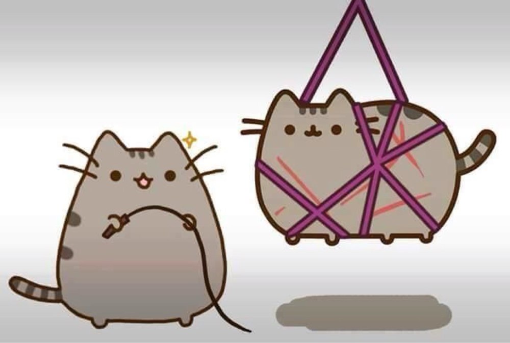 Кот шибари