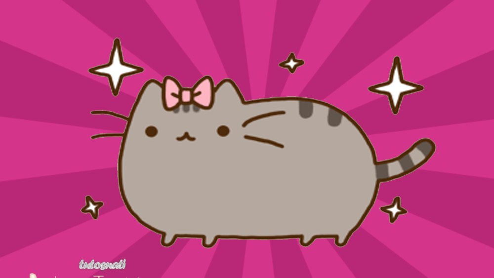 Котика Пушина