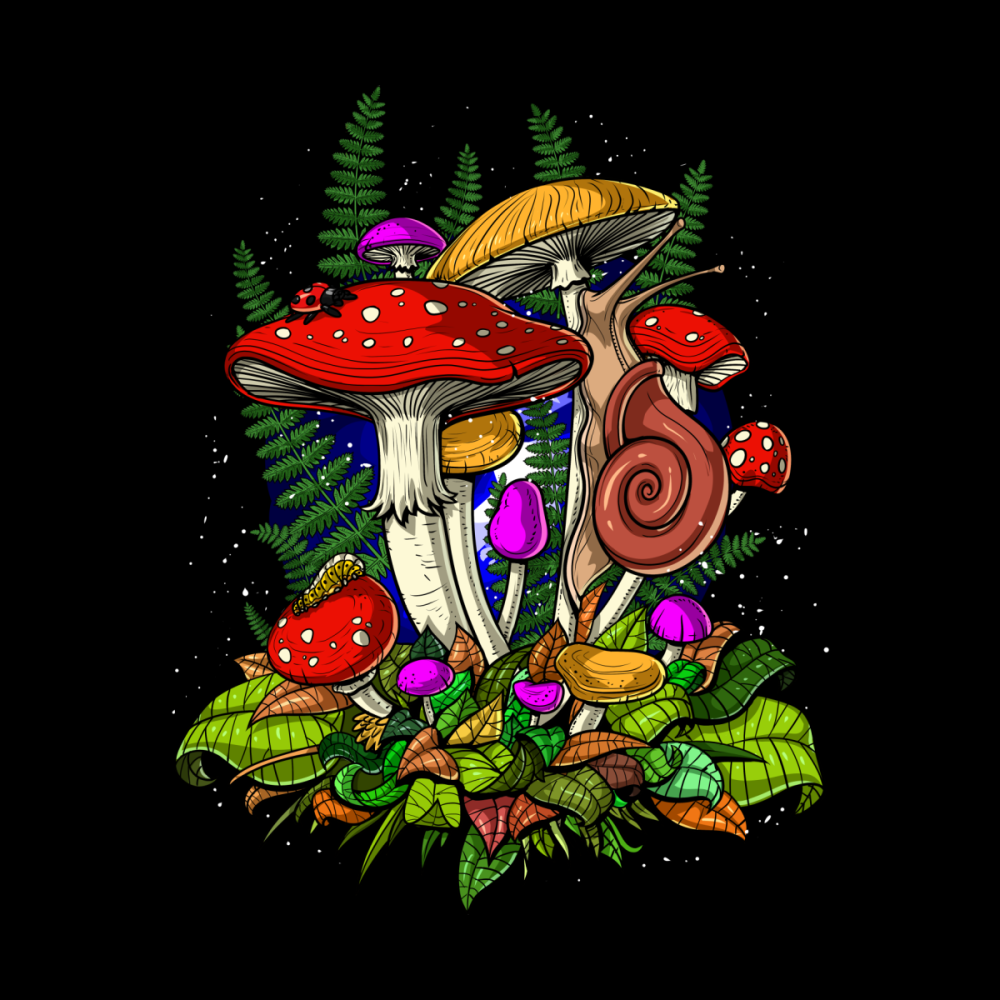 Мухомор инди КИД