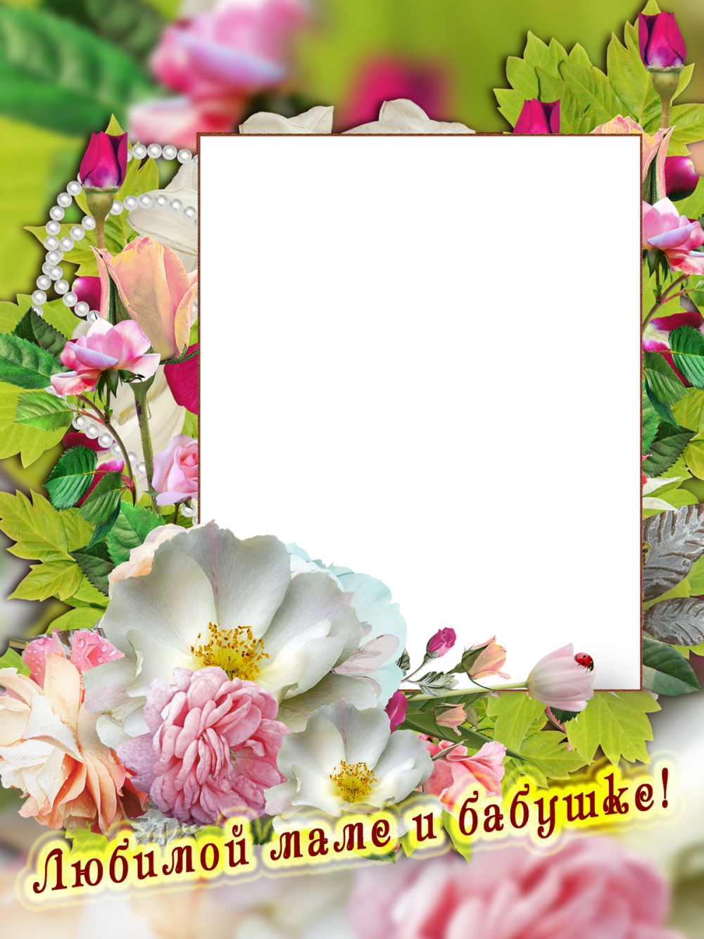 Рамки для бабушки