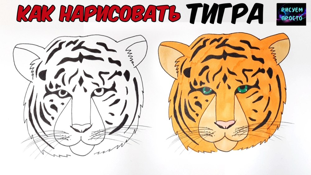 Тигр эскиз