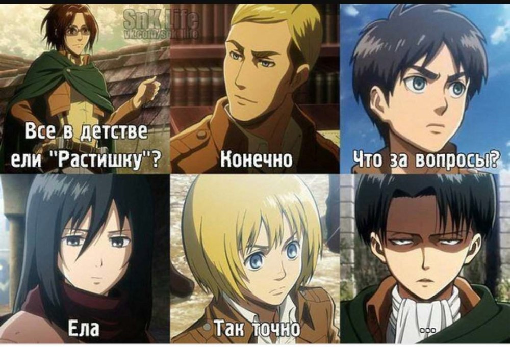 Знак развед корпуса и Леви