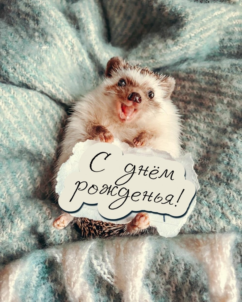Ежик поздравляет с днем рождения