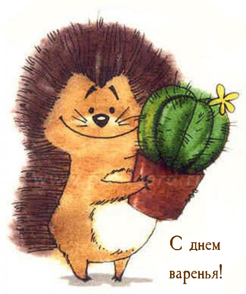 С днем рождения Кактус