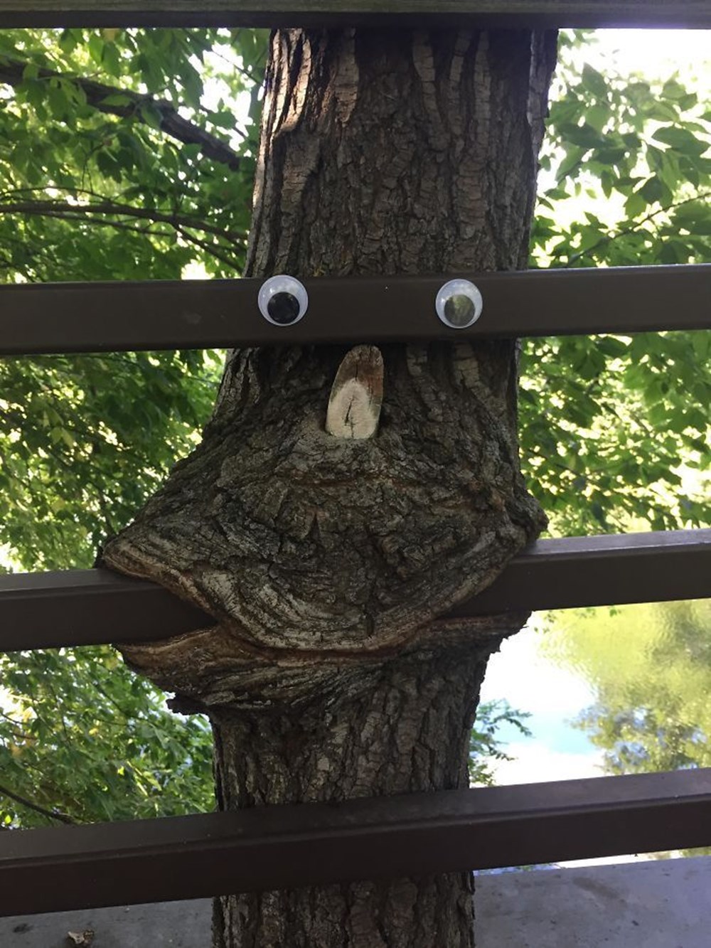 Глаза пейзаж