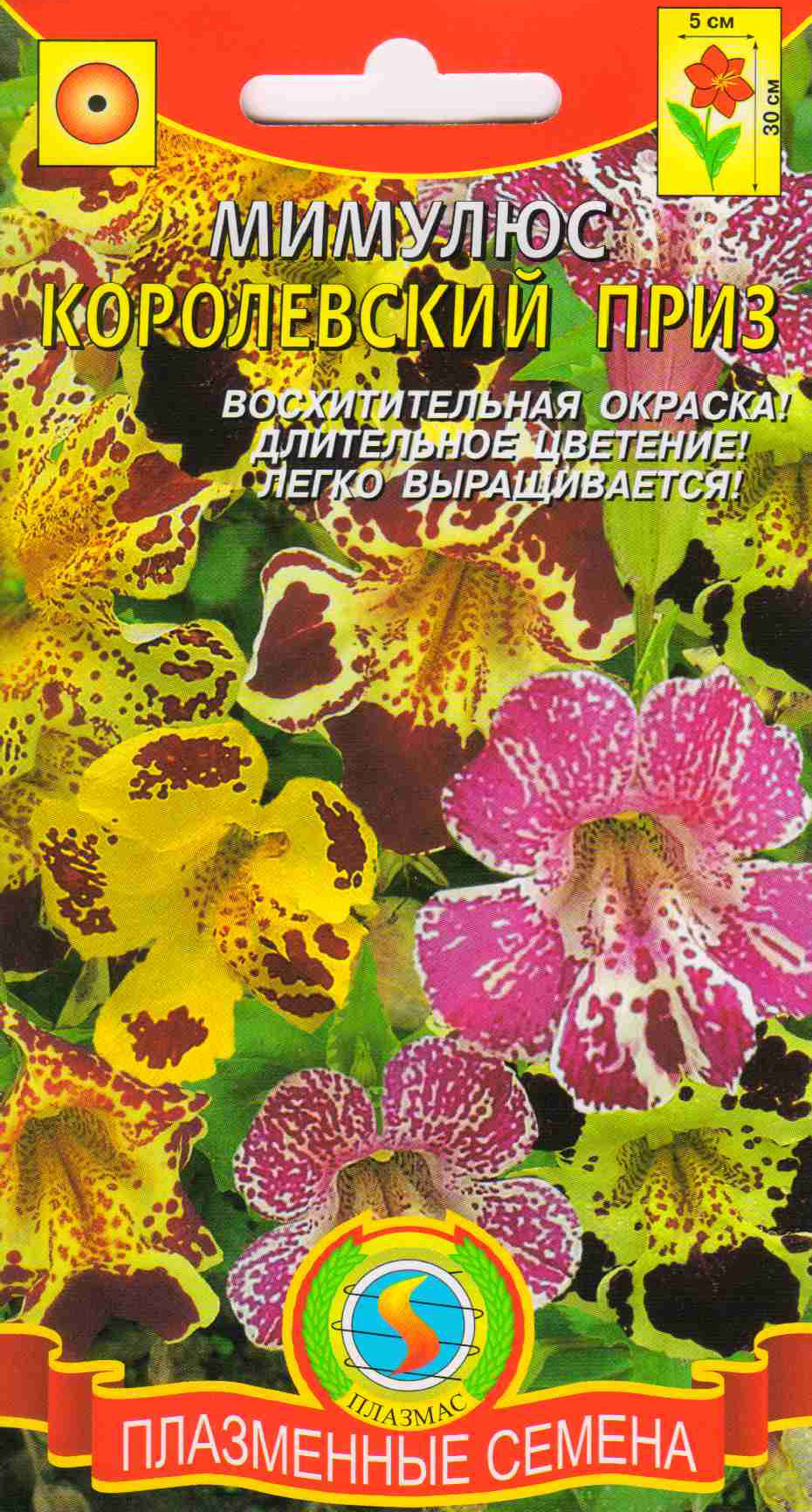 Цветок мимулюс тигровый