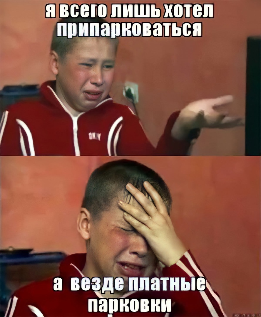 Собака Мем