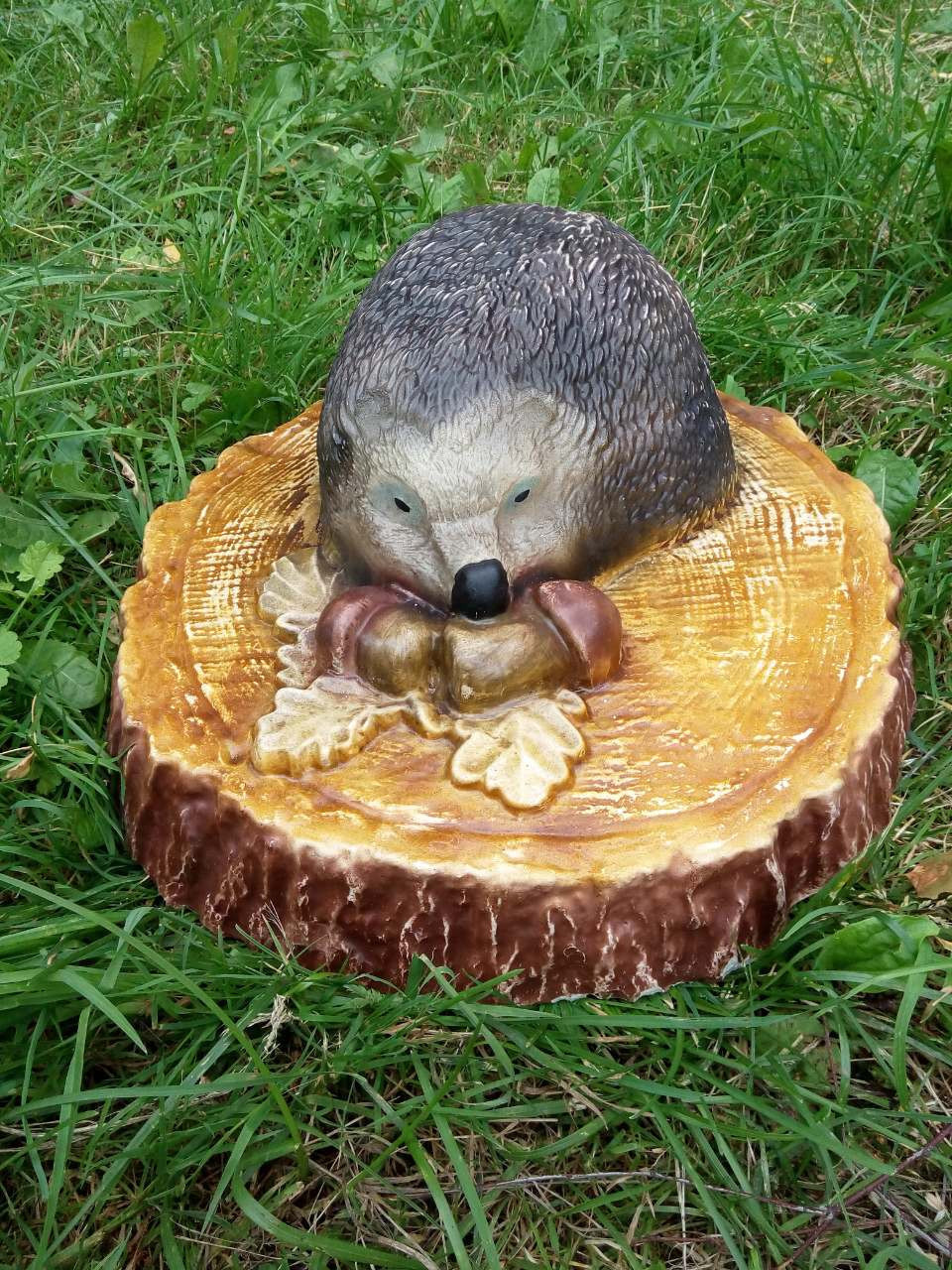 Еж в саду