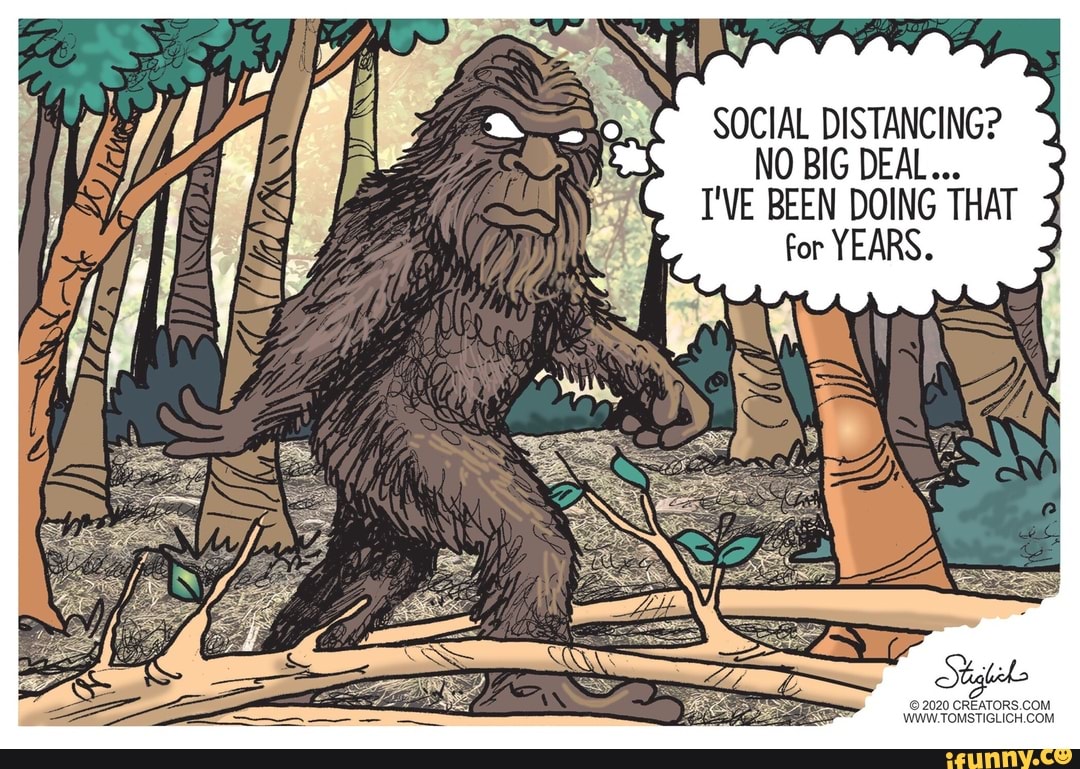 Як и Йети. Bigfoot cartoon. Cartoon 2020. Bigfoot illustration.