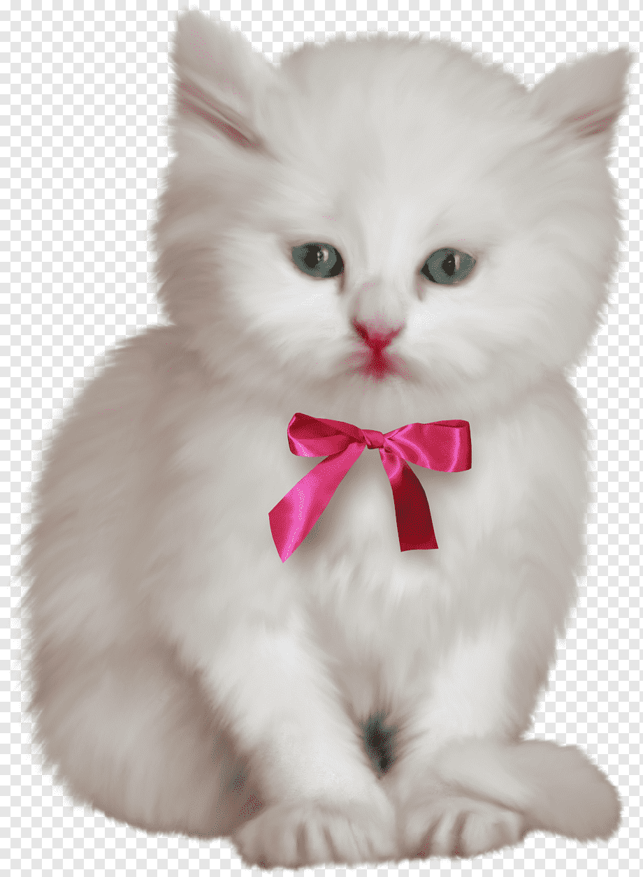 Коты Аристократы кошечка Мари