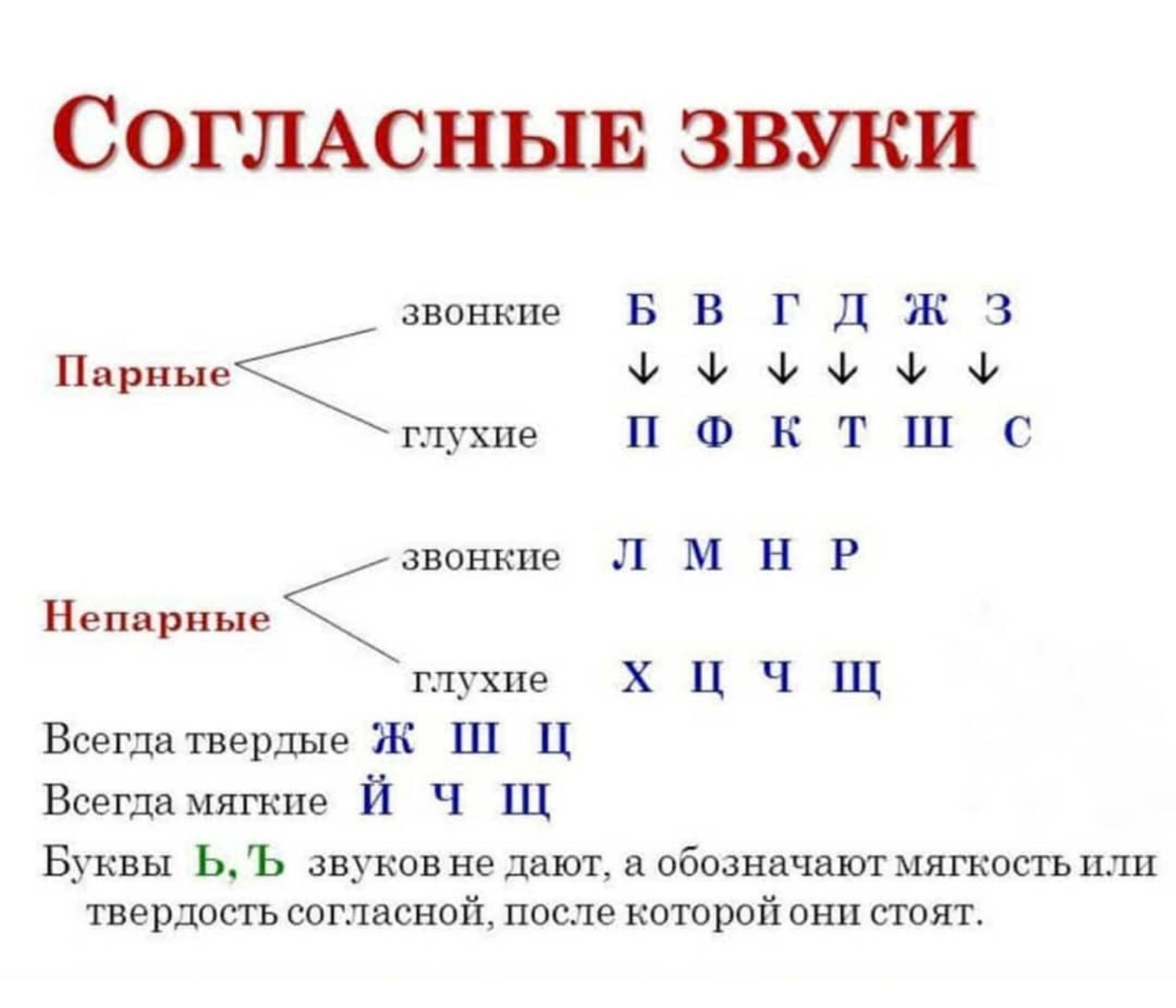 Звук бывает мягким. Таблица звонких и глухих звуков мягких и твёрдых. Таблица гласных согласных звонких глухих твердых. Таблица звуков мягких и твердых гласных и согласных. Глухие согласные звуки и звонкие согласные звуки в русском языке.