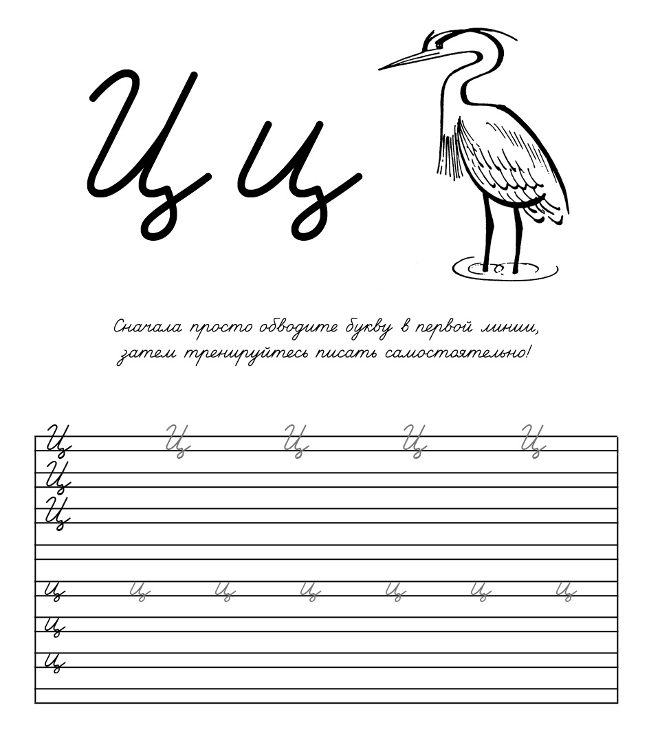 Буква ц