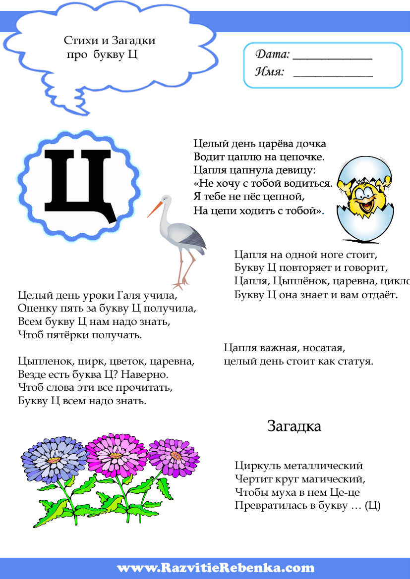 Рисуем букву ц